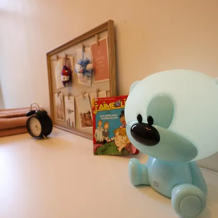 Appartamento Le Charme Des Remparts Boulonnais Boulogne-sur-Mer