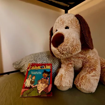 Le Charme Des Remparts Boulonnais Appartamento